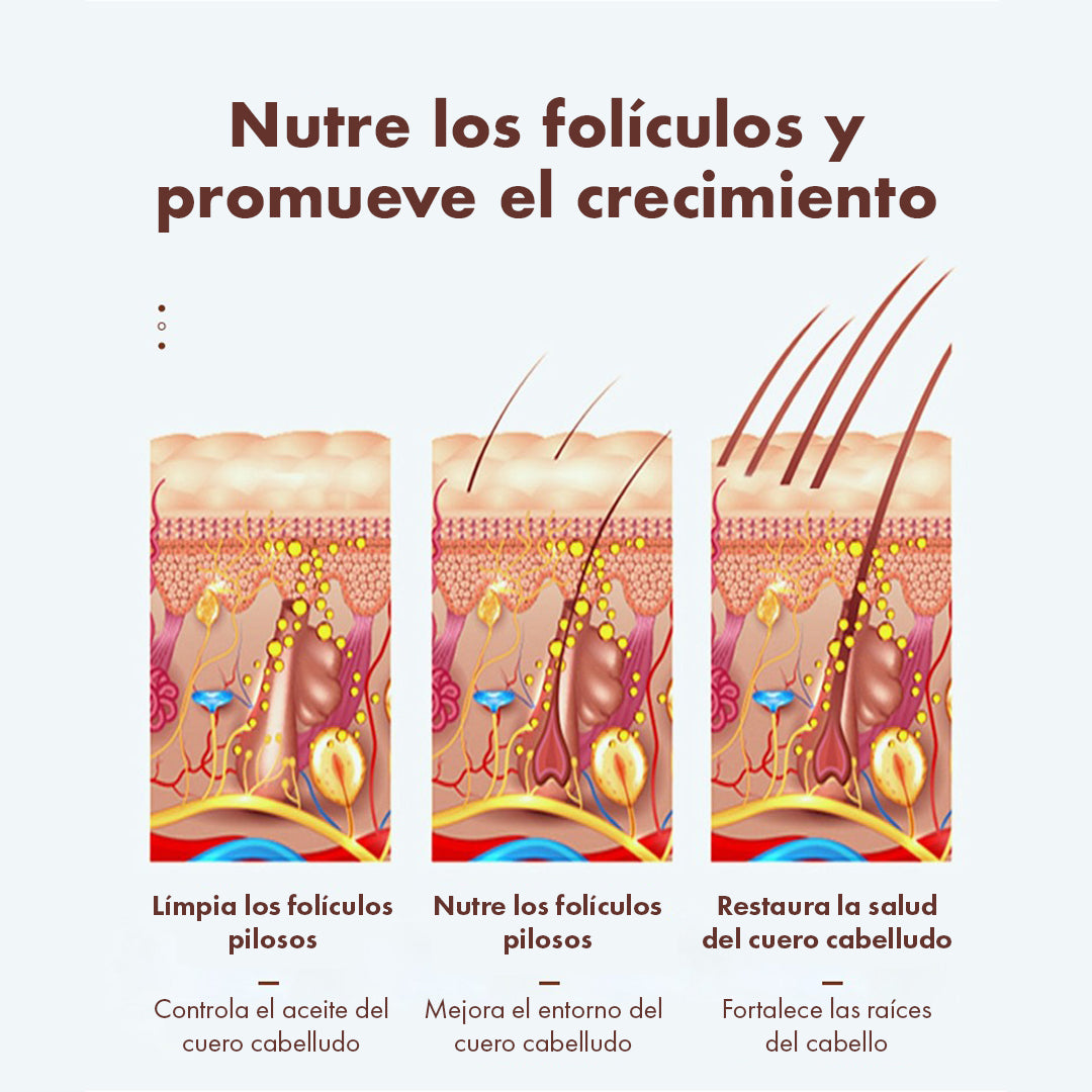 Shampoo Anticaída Jengibre y Ginseng