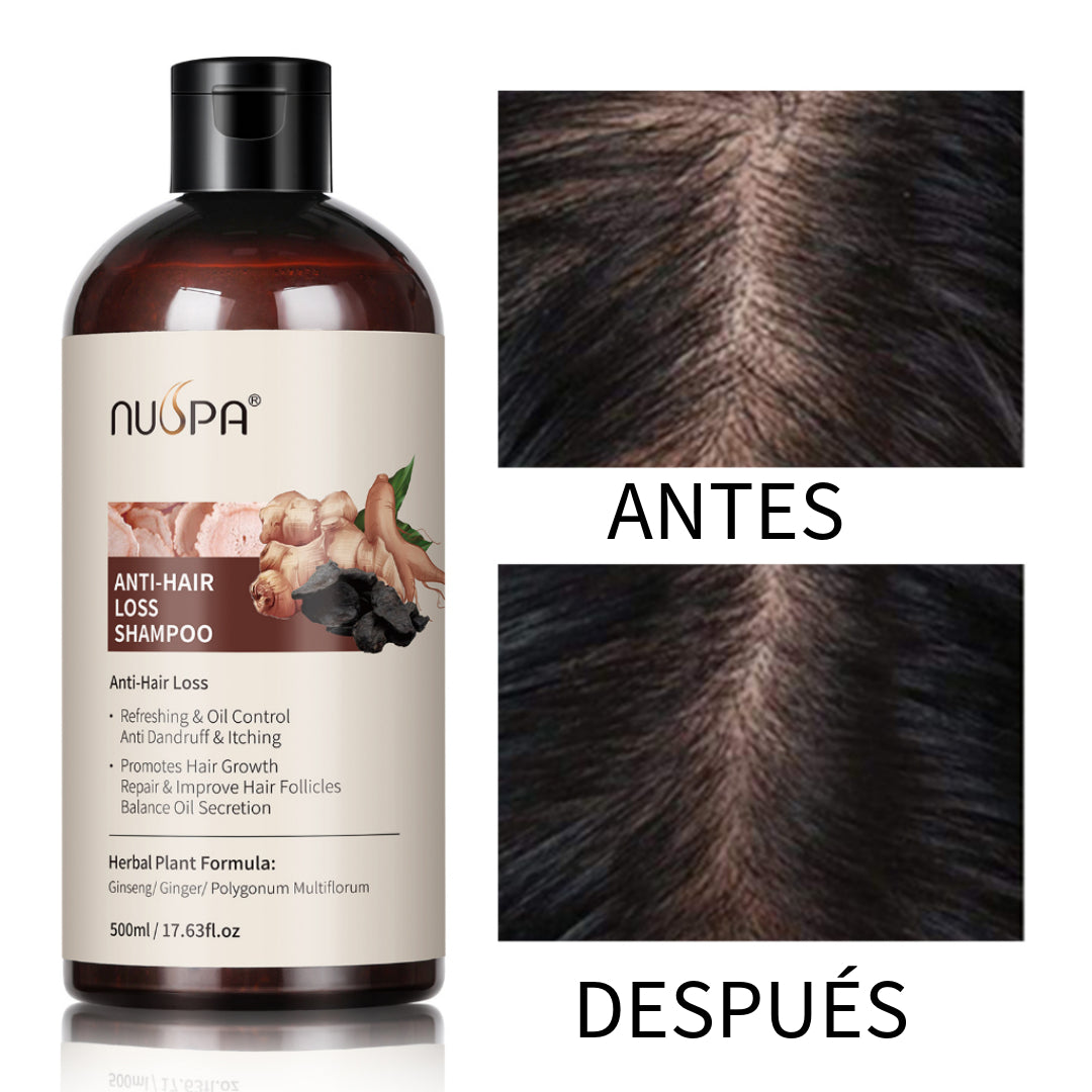 Shampoo Anticaída Jengibre y Ginseng