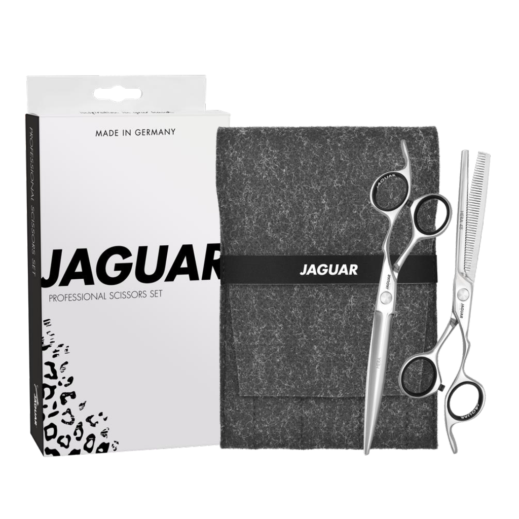 Set Tijeras Jaguar Hera Start up - Bepro Group